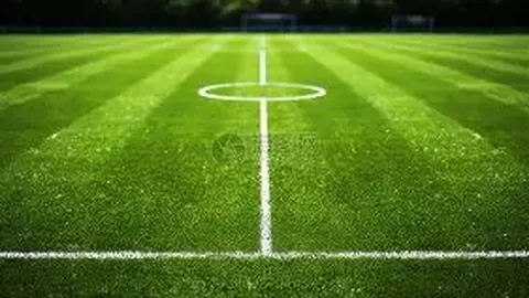 立博体育 产品 085616 2co